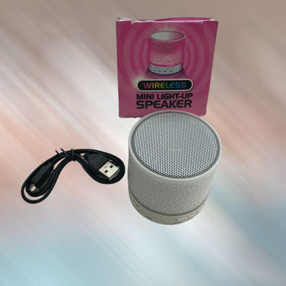 SSHS-904. mini wireless bluetooth speaker