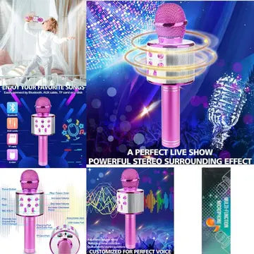 SSHS-2004. karaoke microphone