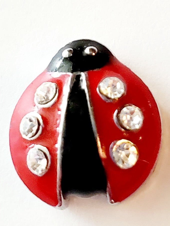ZZZ - 212 - ladybug charm