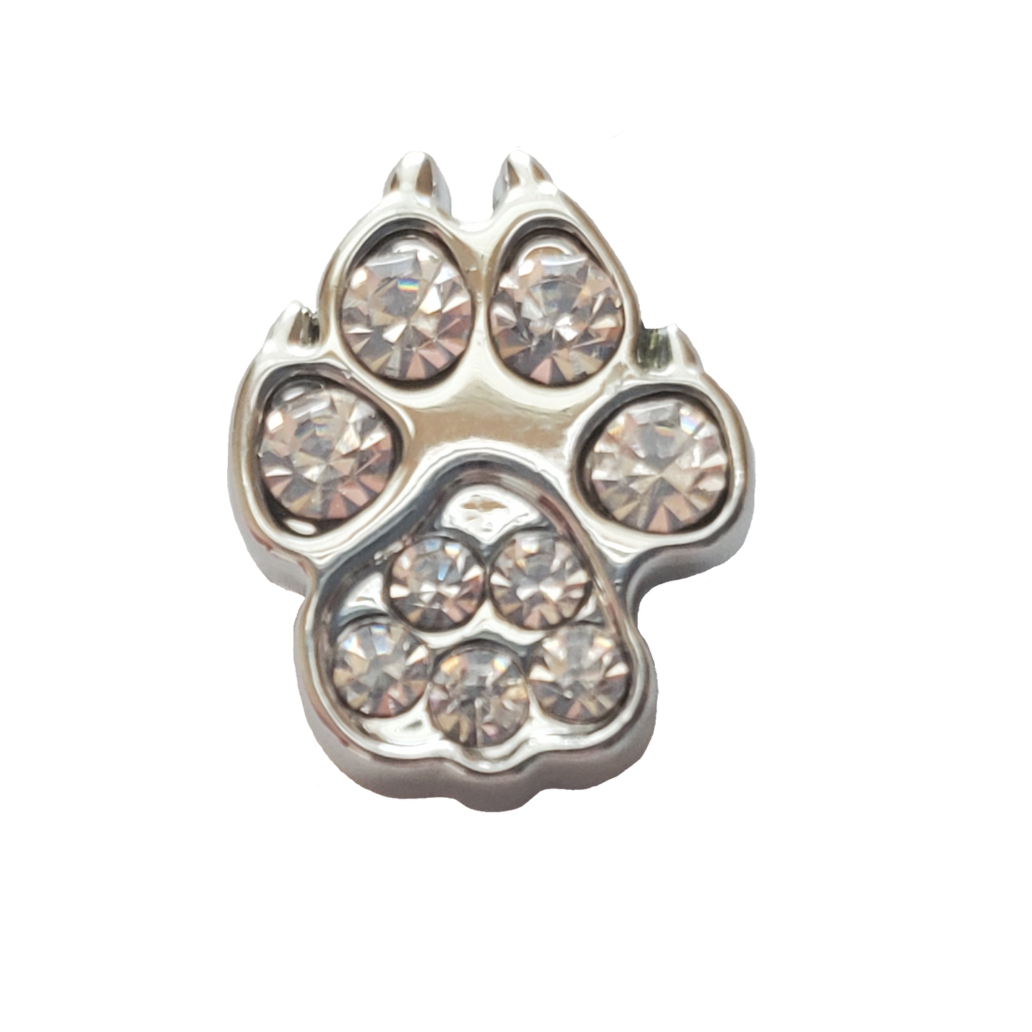 ZZZ - 201 - paw charm