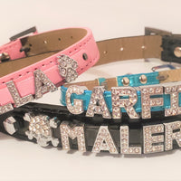 005. Personalized Pet Collars - with 6 Charms included