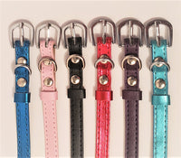 005. Personalized Pet Collars - with 6 Charms included
