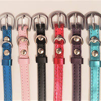 005. Personalized Pet Collars - with 6 Charms included