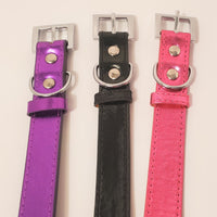 005. Personalized Pet Collars - with 6 Charms included